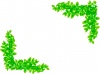 グリーンフレーム枠葉っぱ自然緑色葉桜装飾枠飾り枠シンプル綺麗春初夏