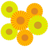 夏の花(ひまわり集合)3・背景透過処理画像