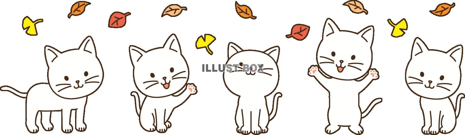 秋の白猫たち