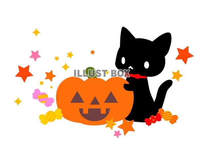 ハロウィン・黒猫・かぼちゃランタンのイラスト
