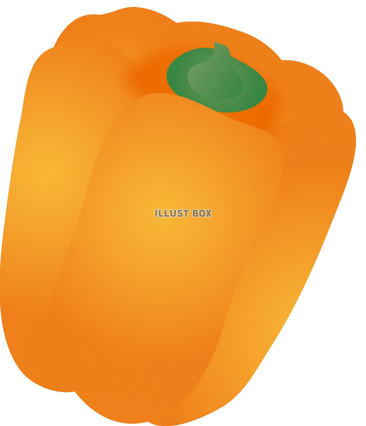 パプリカオレンジ