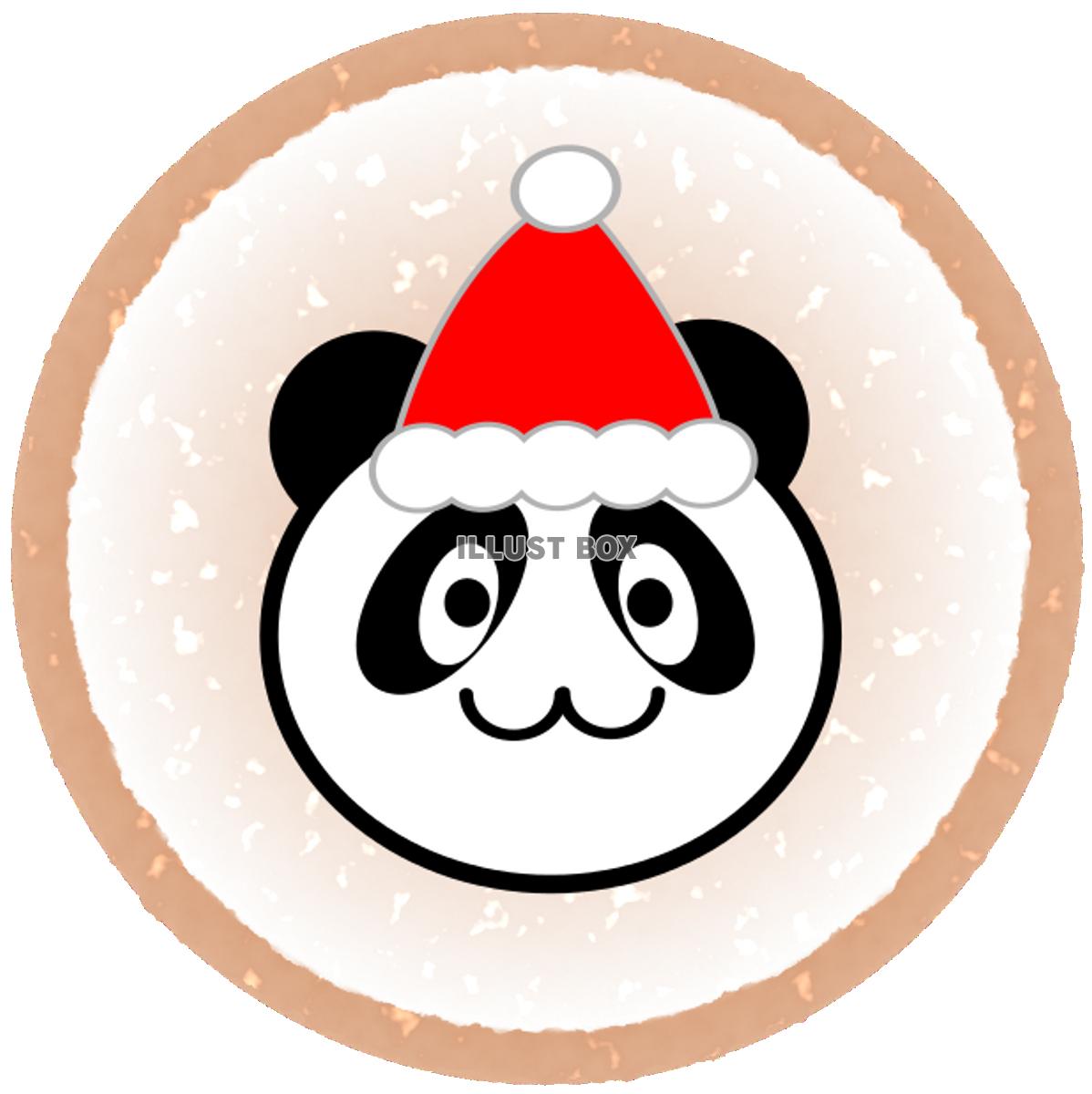 クリスマス　パンダ　茶丸枠（透過PNG）