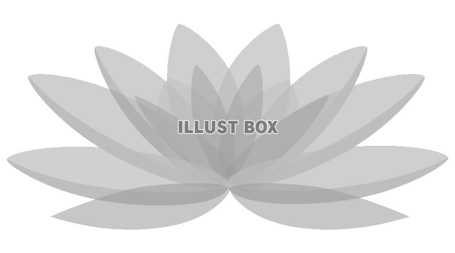 喪中ハガキ用蓮の花デザインイラスト2・背景透過処理png画像