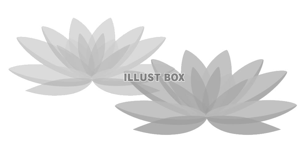 喪中ハガキ用蓮の花デザインイラスト3・背景透過処理png画像