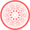 雪の結晶　赤丸枠1