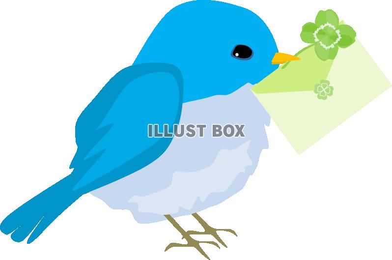青い鳥と手紙