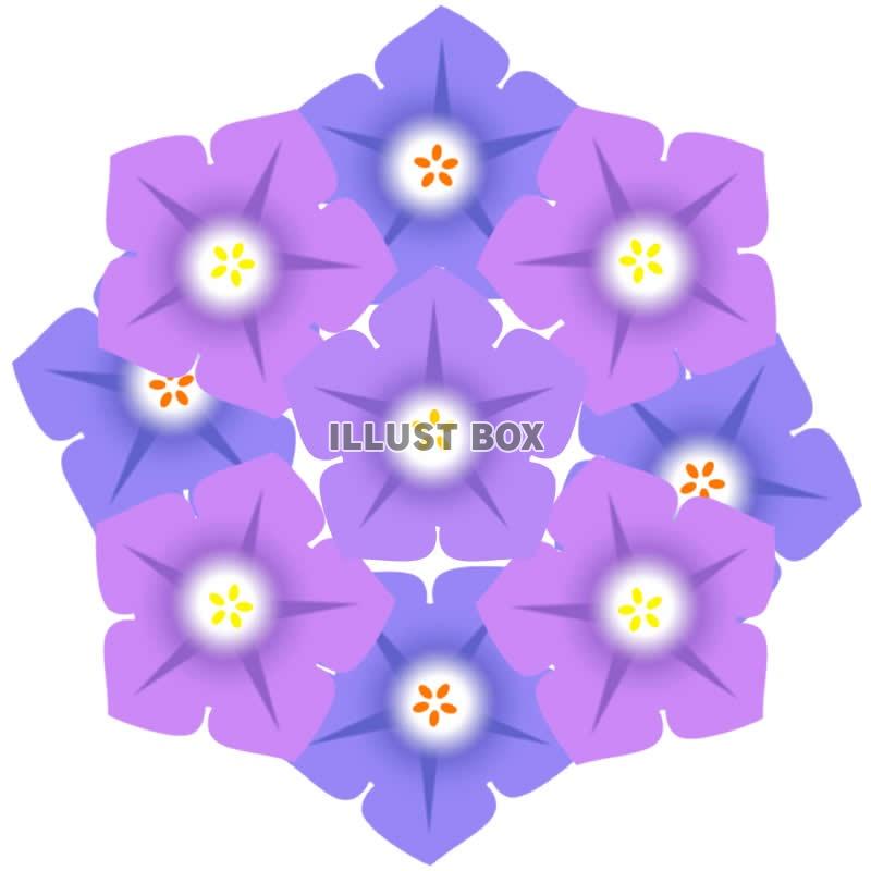 サフィニアの花3・jpeg画像