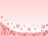 桜フレーム　ピンク（下）