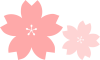 かわいい桜の花（透過PNG）