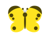 蝶々