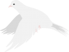 白い鳩羽ばたき1