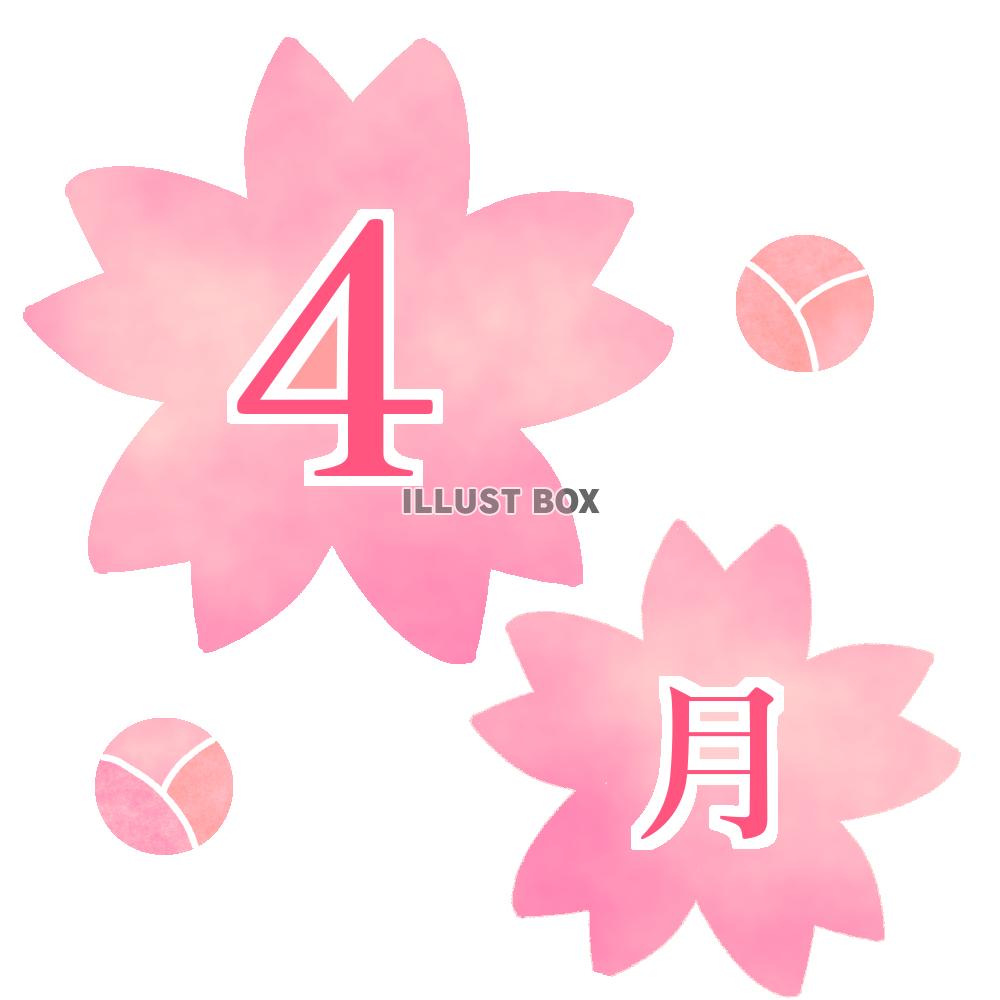 4月の桜ロゴイラスト　透過png