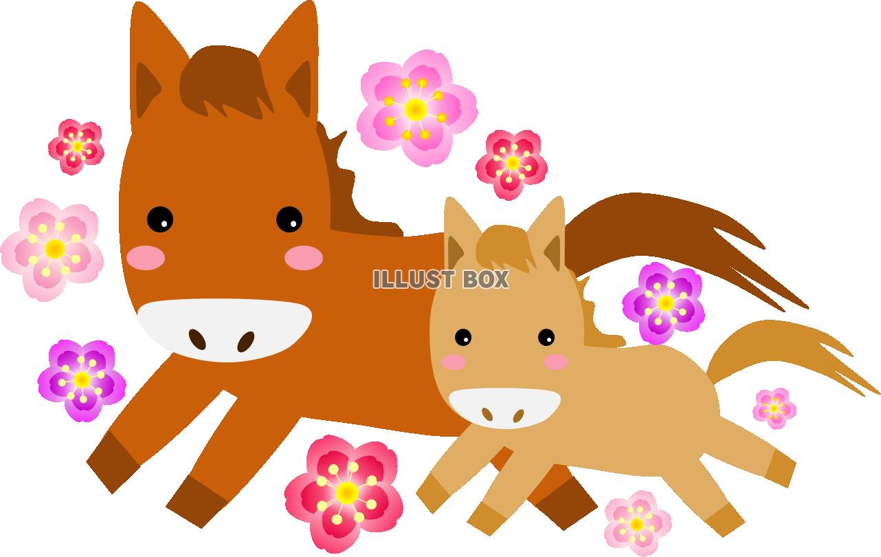 走る馬の親子と梅の花