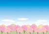 桜並木風景C