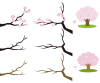 桜ワンポイントセット