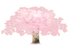 PNG　桜の樹