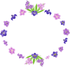 菖蒲の花の円形フレーム