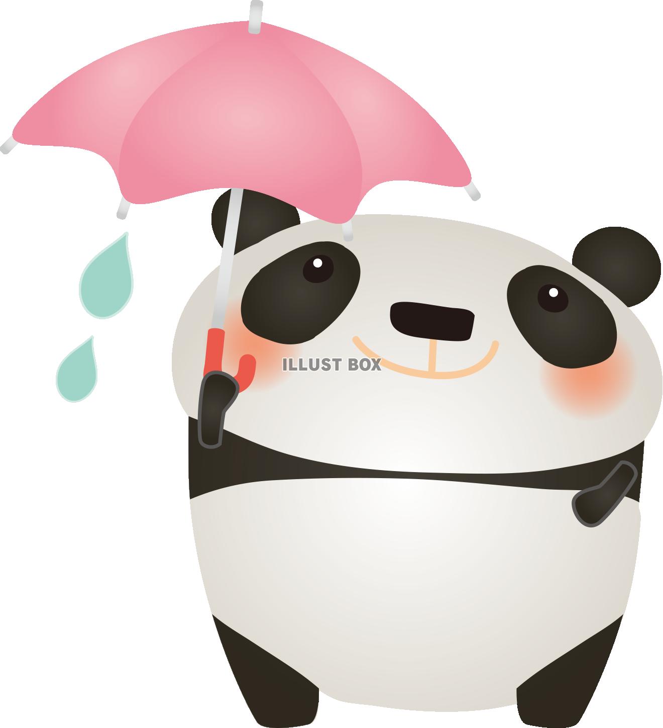 パンダちゃん雨の日