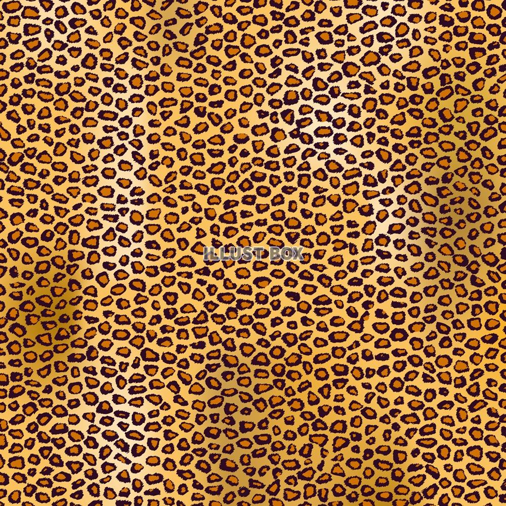 豹柄パターン