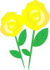 黄色いバラ　父の日