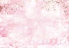 お花吹雪桜吹雪さくら吹雪サクラ吹雪さくらふぶきサクラふぶき桜ふぶき舞い散る春植物