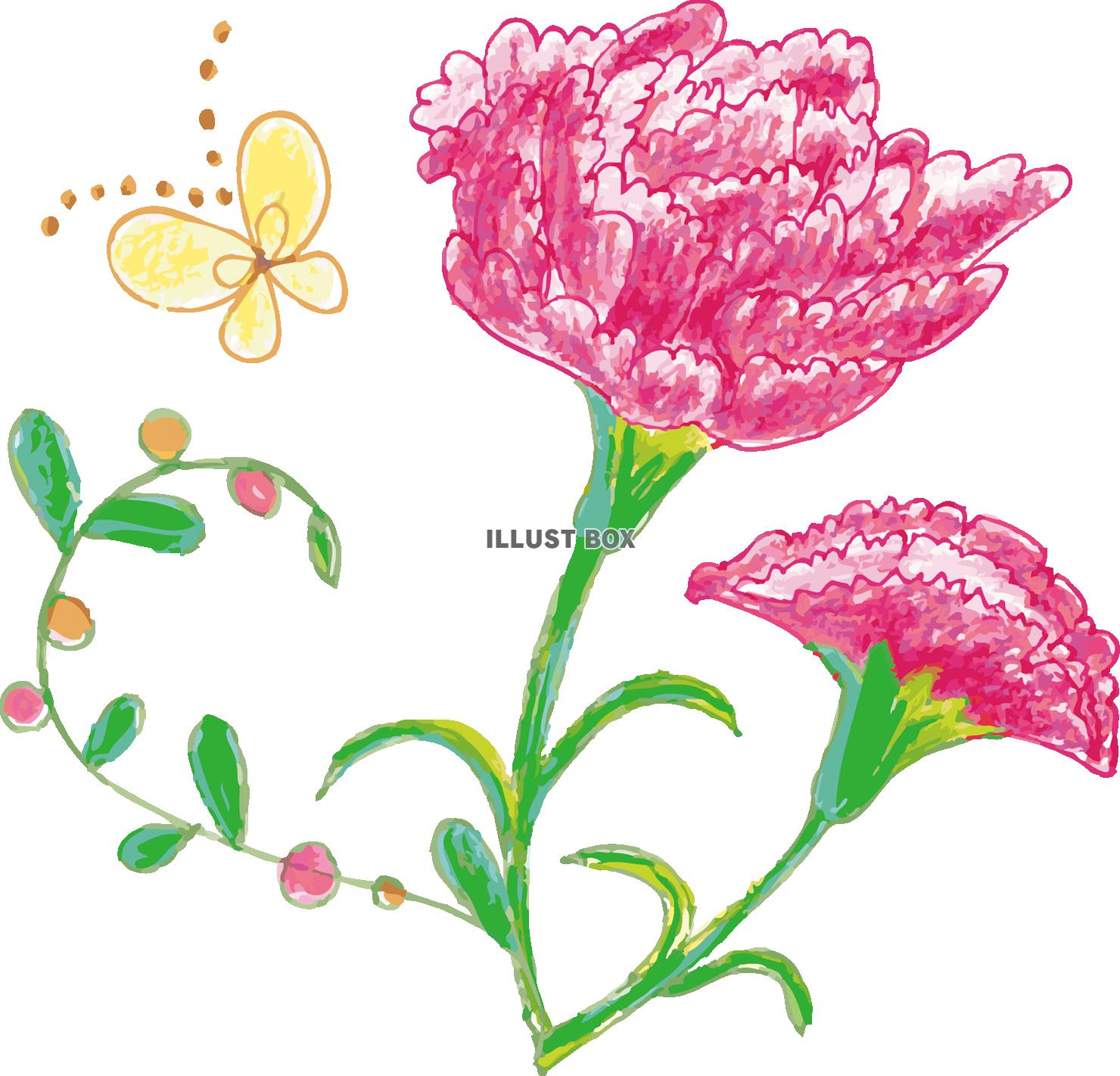春季節感花植物手書き手描きてがきカーネーション母の日五月５月...