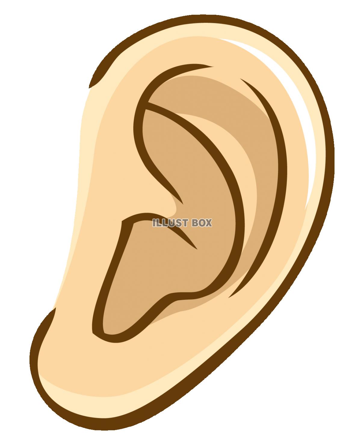 耳つぼピアスイヤリング耳鼻科聞く聴く聴覚耳垢