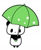 傘を持ったパンダのイラスト