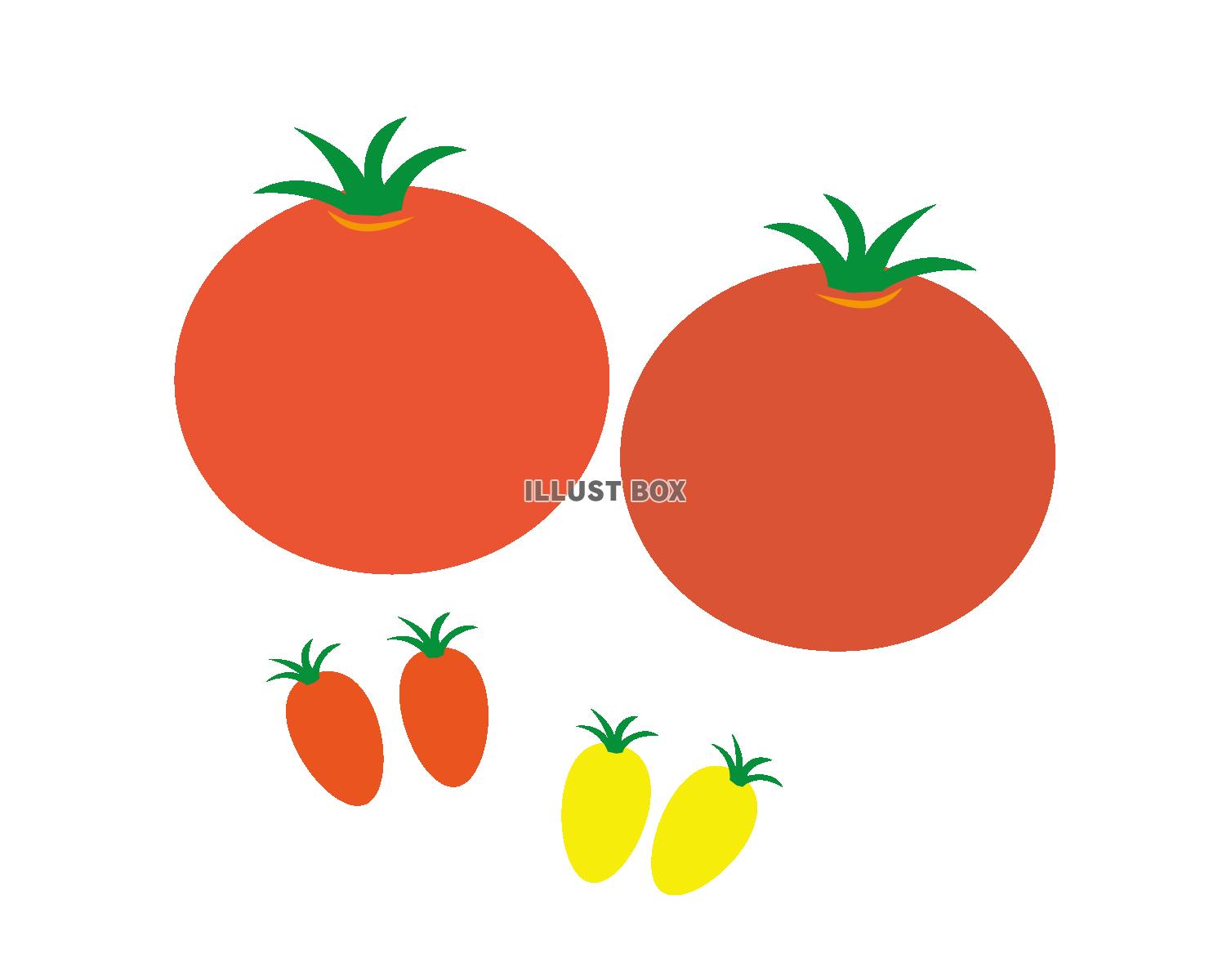 トマトとミニトマト　透過(PNG)とベクター(EPS）データ