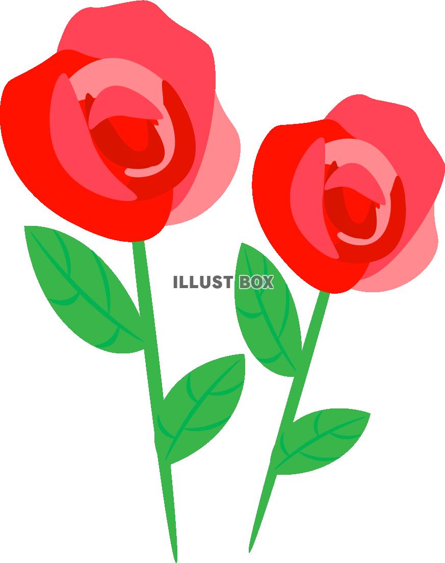 〈透過PNG〉赤いバラ