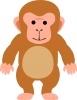 日本猿