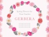 春の花のフレーム　「ガーベラ」