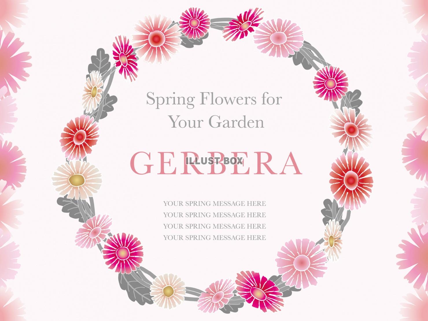 春の花のフレーム　「ガーベラ」