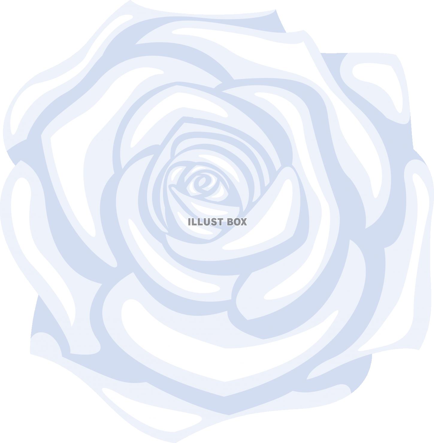 花　フラワー　バラ　ホワイト