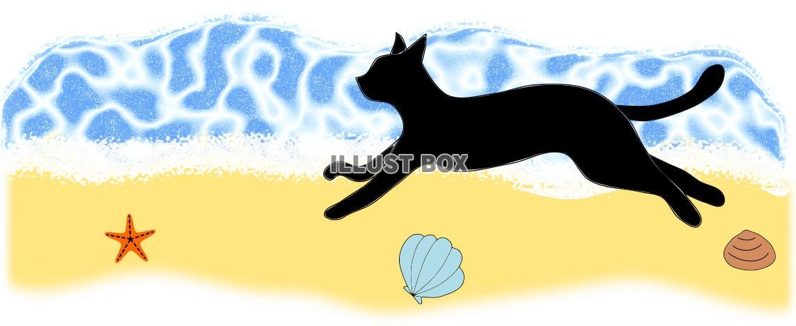 ネコさんとビーチ【JPG】