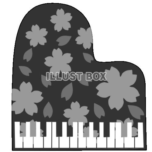 桜のピアノ　モノクロ