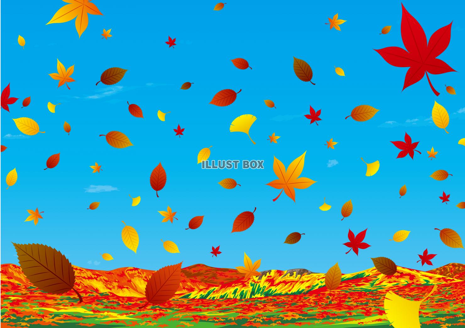 枯れ葉　秋の高原　紅葉