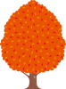 秋　紅葉した木