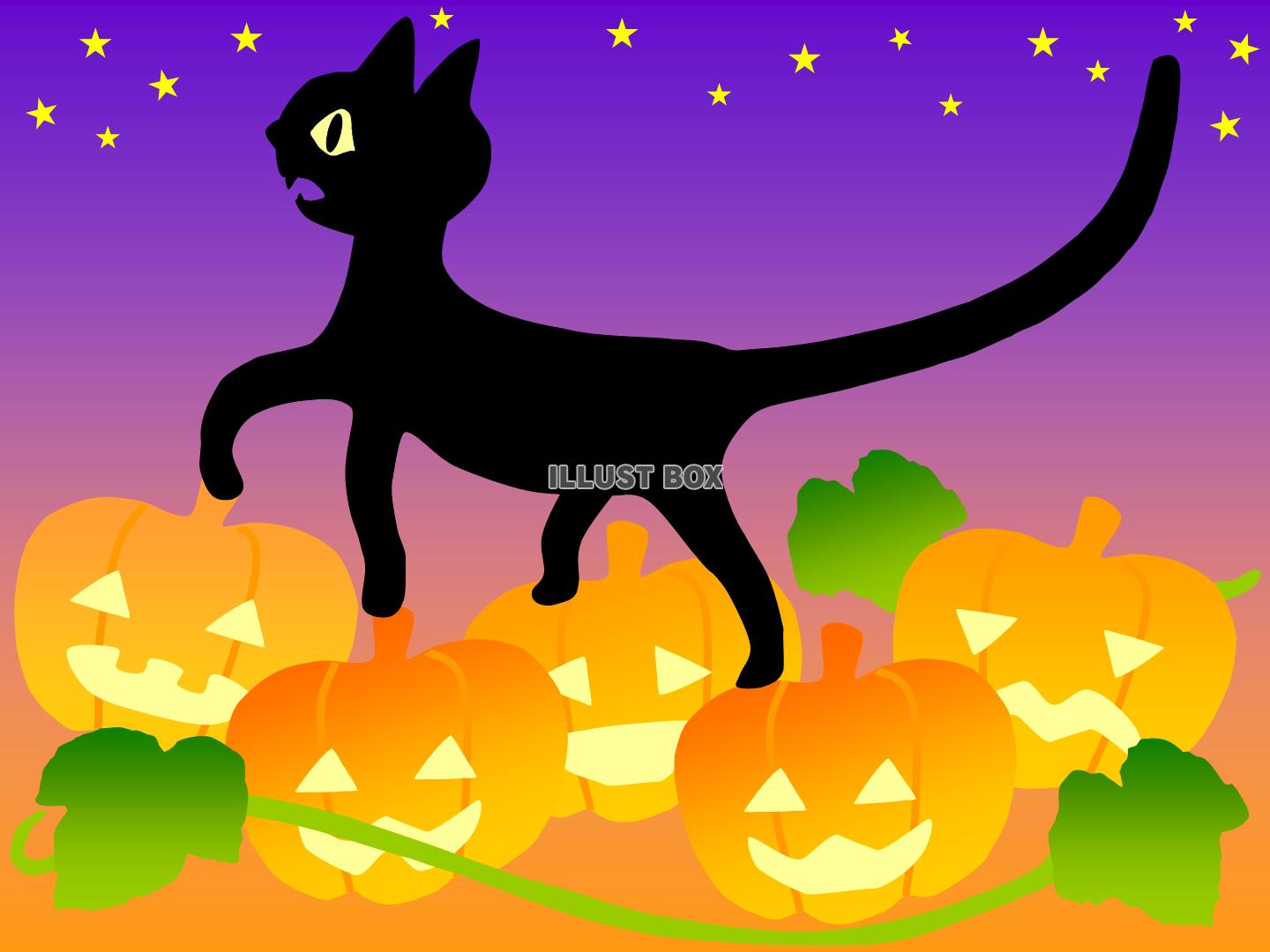黒猫とかぼちゃおばけ（ジャックランタン）