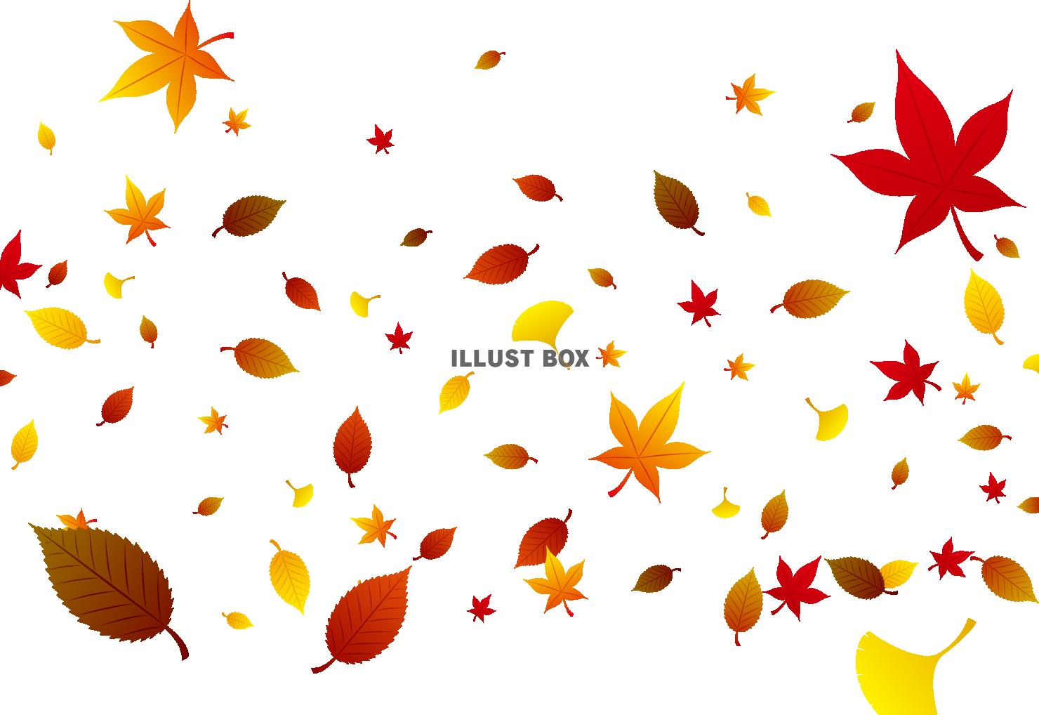 秋のイメージ　落ち葉　壁紙