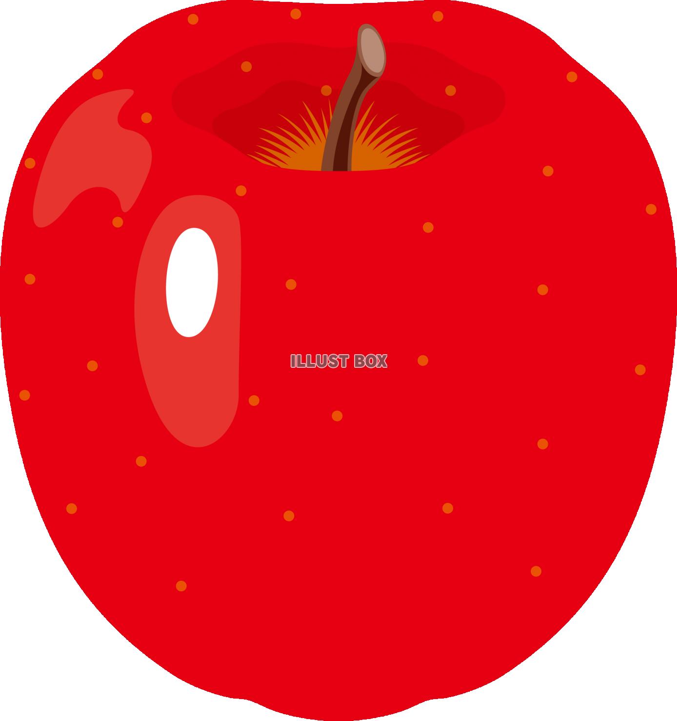 秋の味覚　フルーツ　リンゴ
