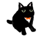 タキシード黒猫