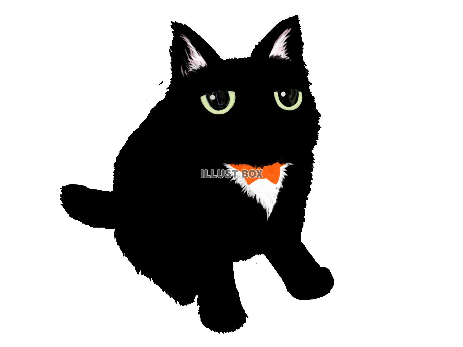 タキシード黒猫