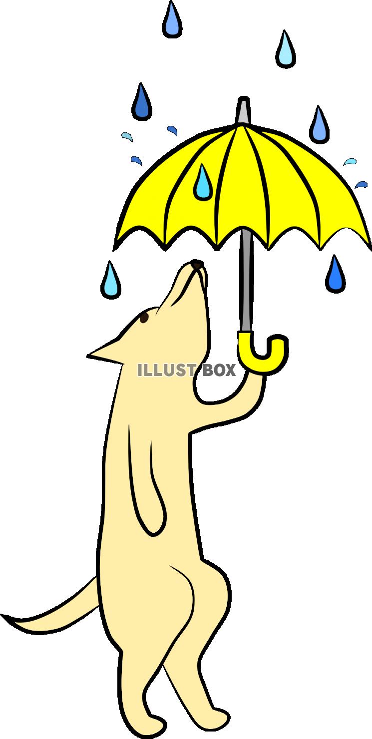 わんこさんと黄色い傘【PNG】