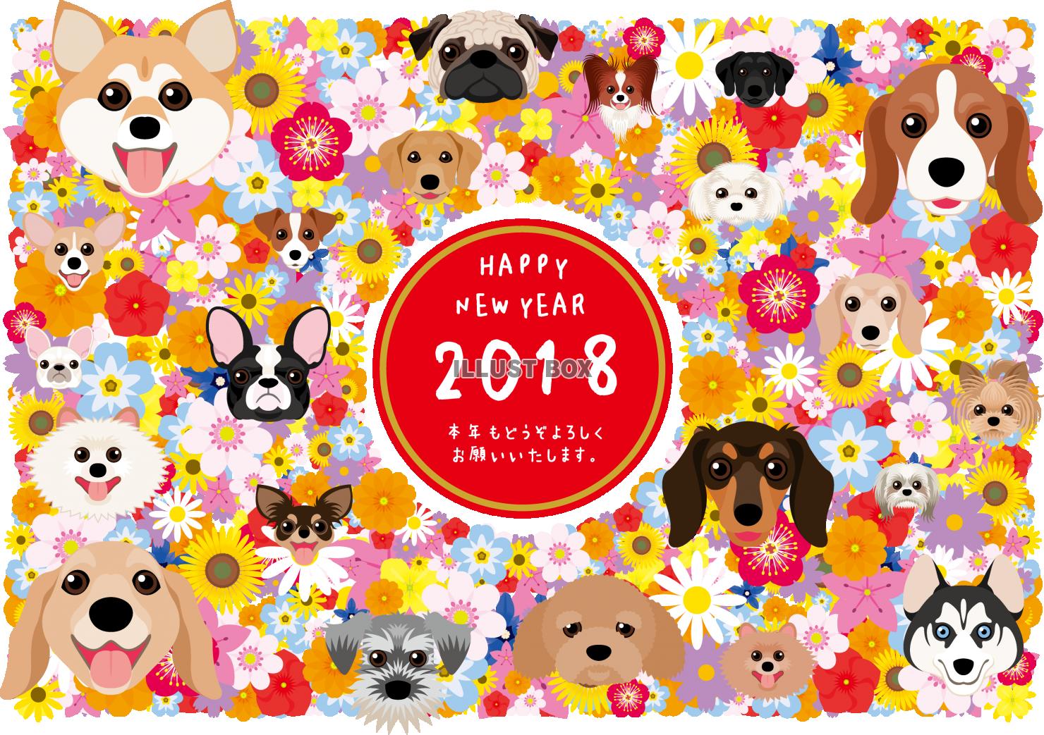 2018　年賀状　花と犬