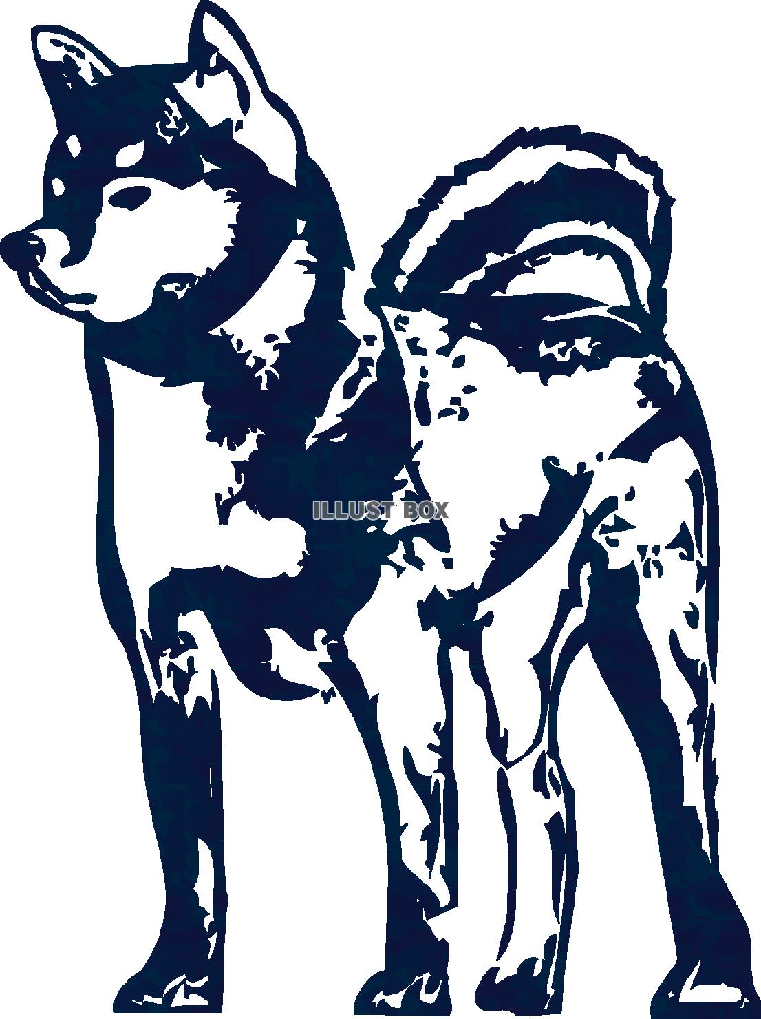 年賀状素材犬,正月,干支,戌年,お年賀,冬,お正月,戌,和風...