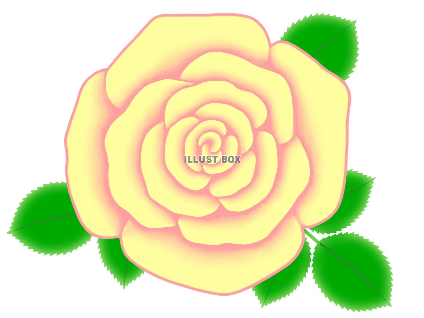 バラの花のワンポイントイラスト背景素材