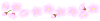 桜の花とつぼみのライン３