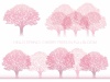 満開の桜の木　セット