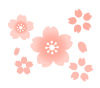 桜のイラスト　透過png